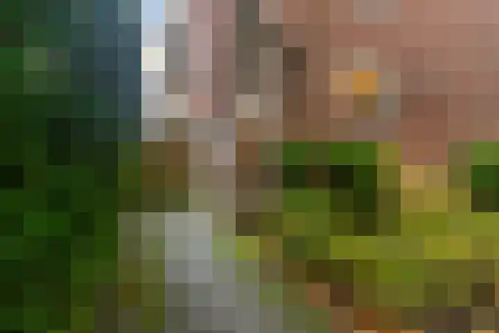 Generaal Berenschotlaan 215 Rijswijk thumbnail 27