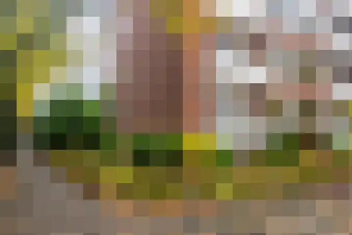 Generaal Berenschotlaan 215 Rijswijk thumbnail 28