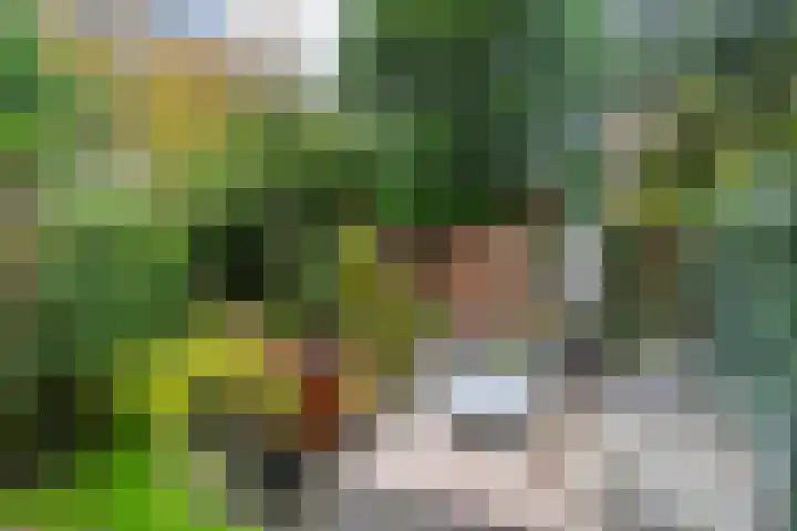 Generaal Berenschotlaan 215 Rijswijk thumbnail 4