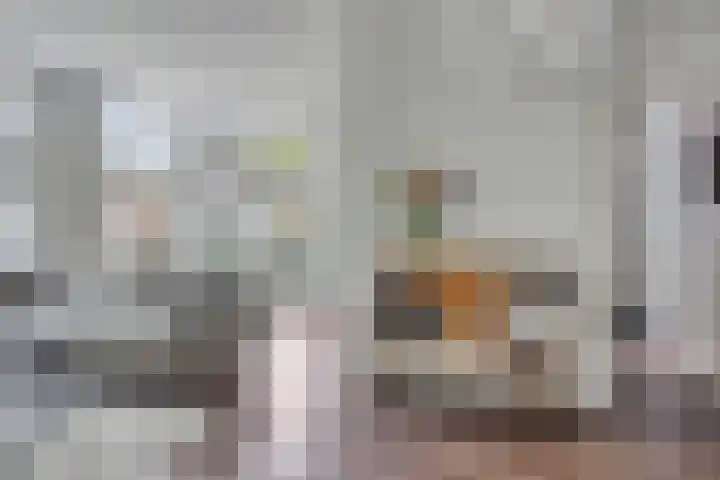 Generaal Berenschotweg 20 Winterswijk thumbnail 8