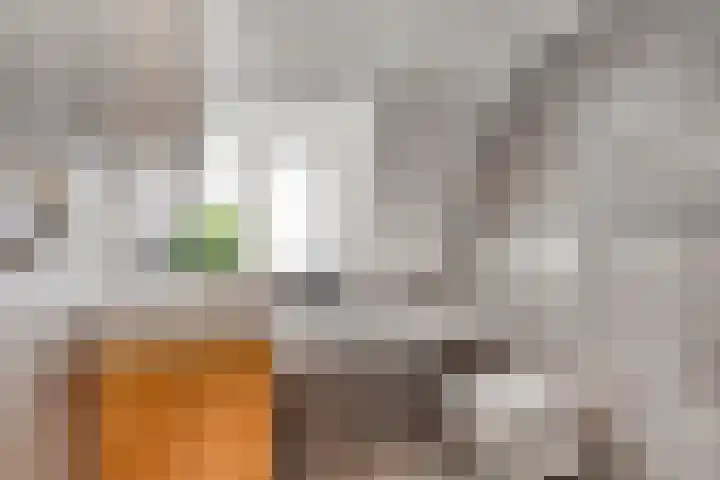 Generaal Bothastraat 122 Haarlem thumbnail 24