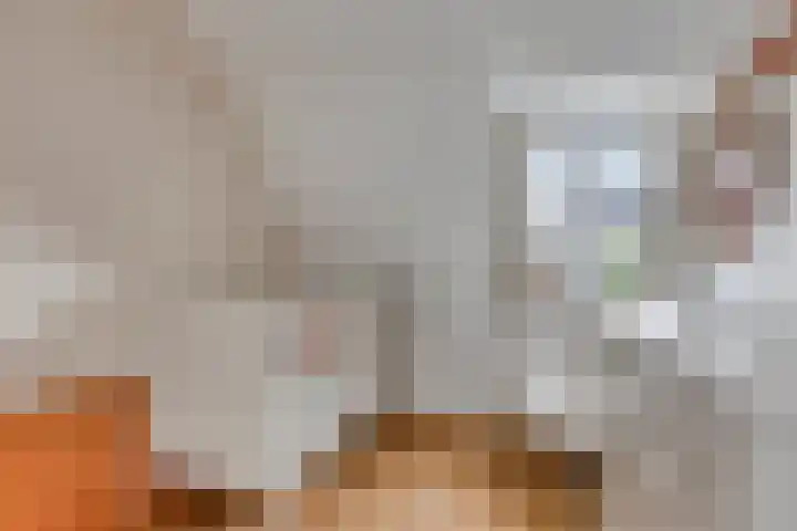 Generaal Bothastraat 122 Haarlem thumbnail 29