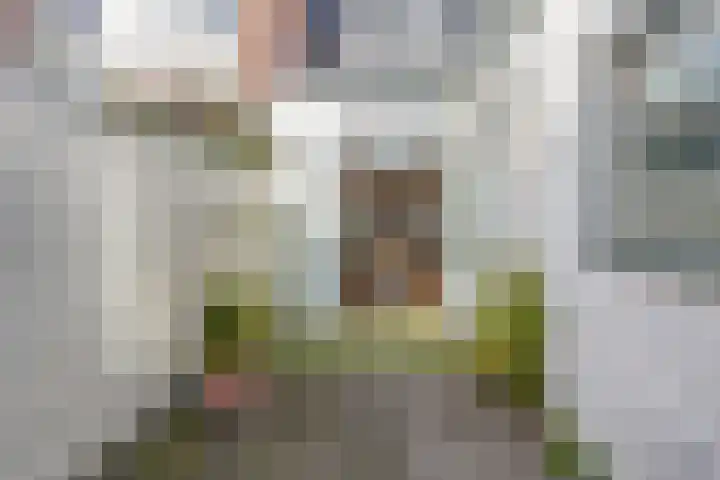 Generaal Bothastraat 122 Haarlem thumbnail 33