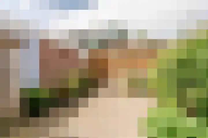 Generaal Bothastraat 123 Haarlem thumbnail 20