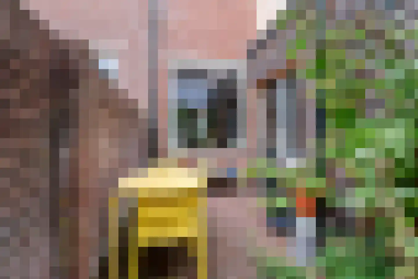 Generaal Bothastraat 126 Haarlem thumbnail 12