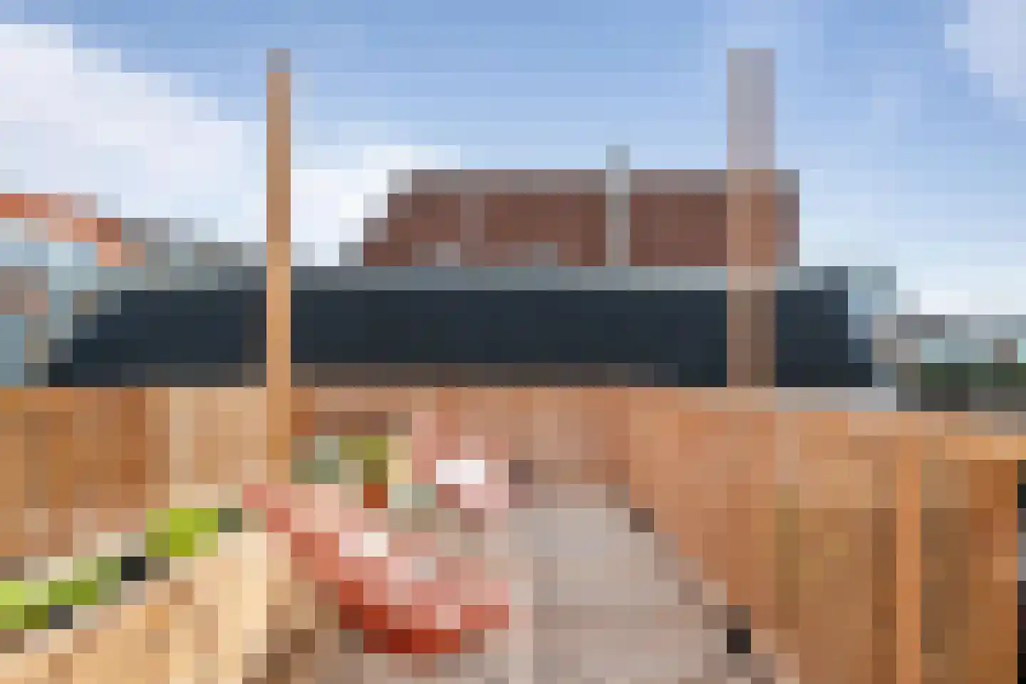 Generaal Bothastraat 126 Haarlem thumbnail 25