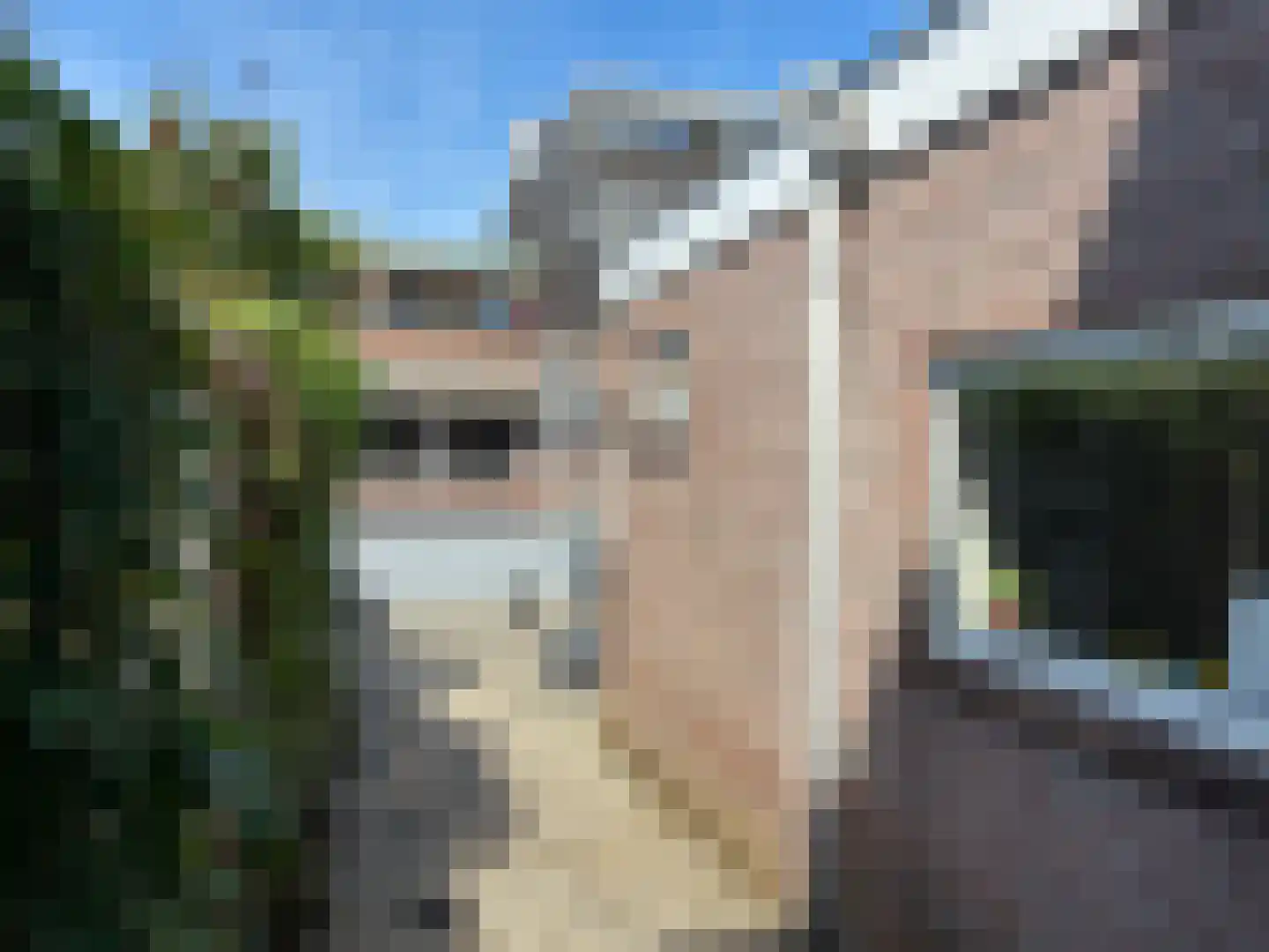 Generaal Bothastraat 127 Haarlem thumbnail 22