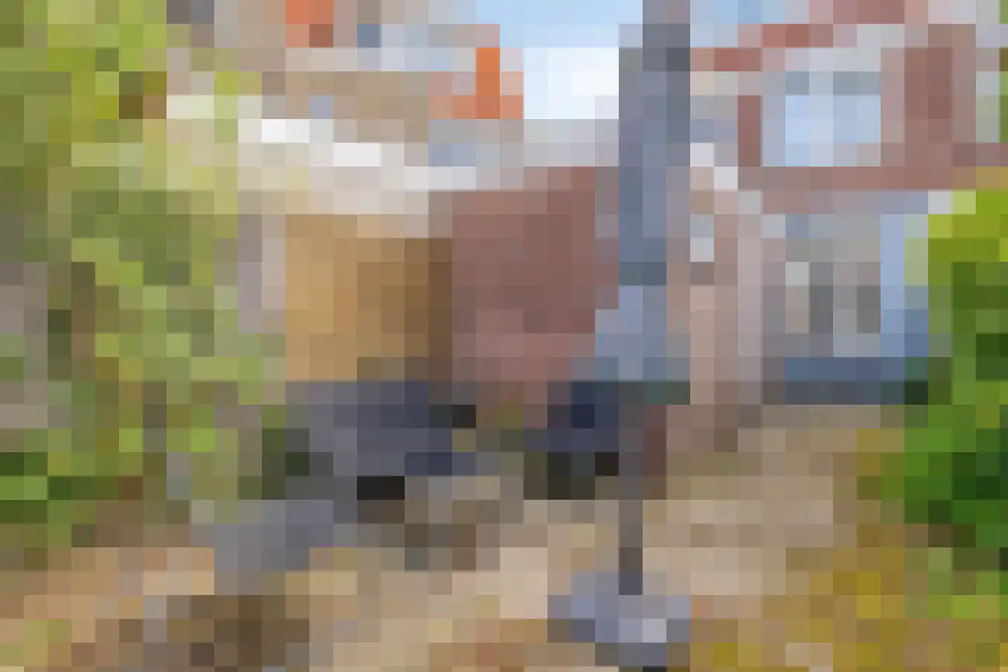Generaal Bothastraat 127 Haarlem thumbnail 22