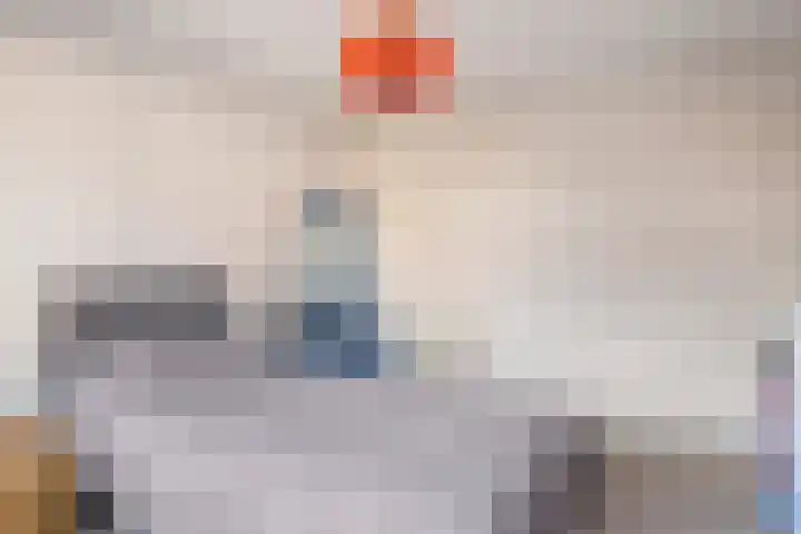 Generaal Bothastraat 17 Eindhoven thumbnail 14