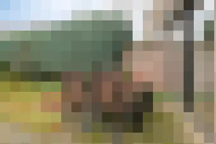 Generaal Bothastraat 17 Eindhoven thumbnail 26