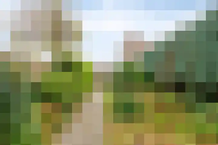 Generaal Bothastraat 17 Eindhoven thumbnail 27