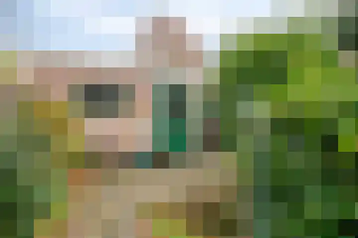 Generaal Bothastraat 17 Eindhoven thumbnail 28