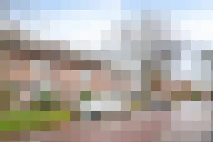 Generaal Bothastraat 17 Eindhoven thumbnail 32