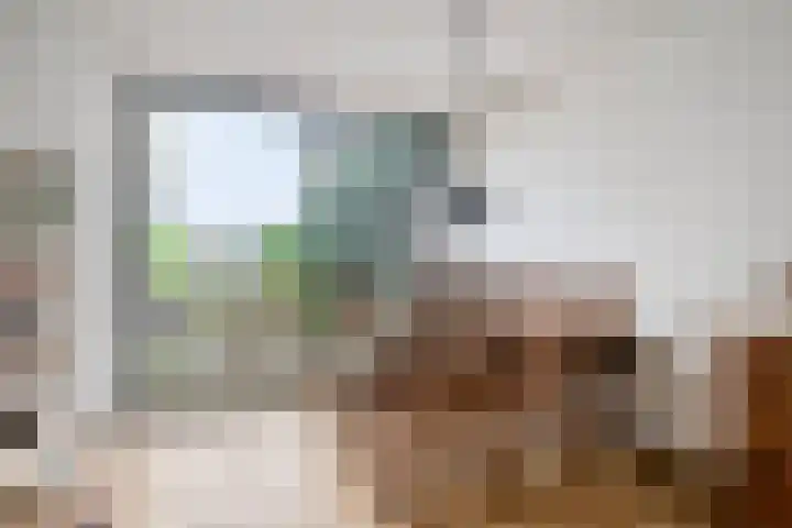 Generaal Bothastraat 17 Eindhoven thumbnail 7