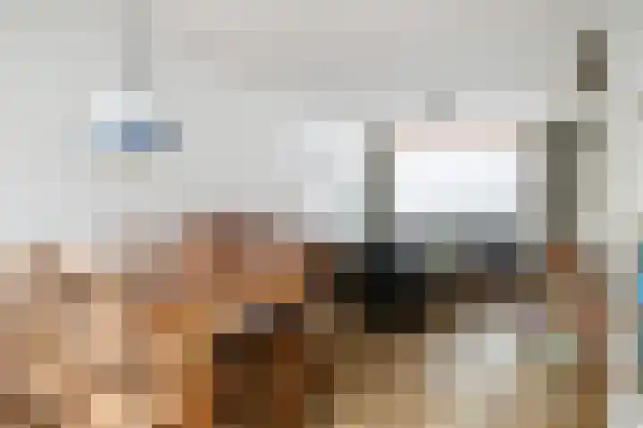 Generaal Bothastraat 17 Eindhoven thumbnail 8