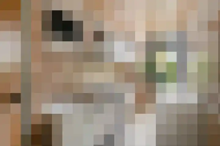 Generaal Bothastraat 17 Eindhoven thumbnail 9