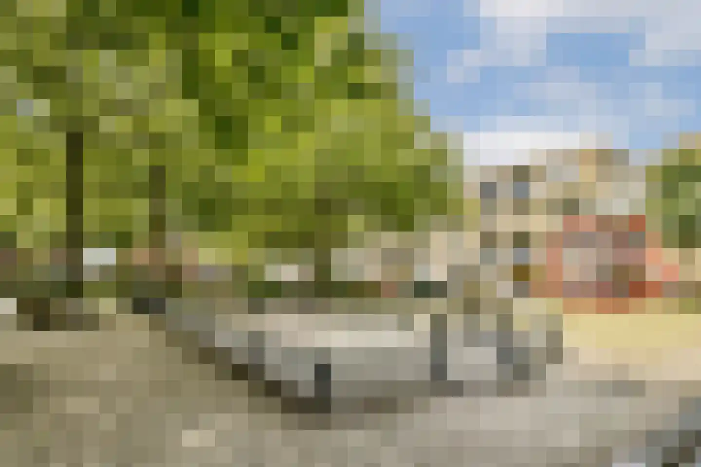 Generaal Bothastraat 18 Haarlem thumbnail 26
