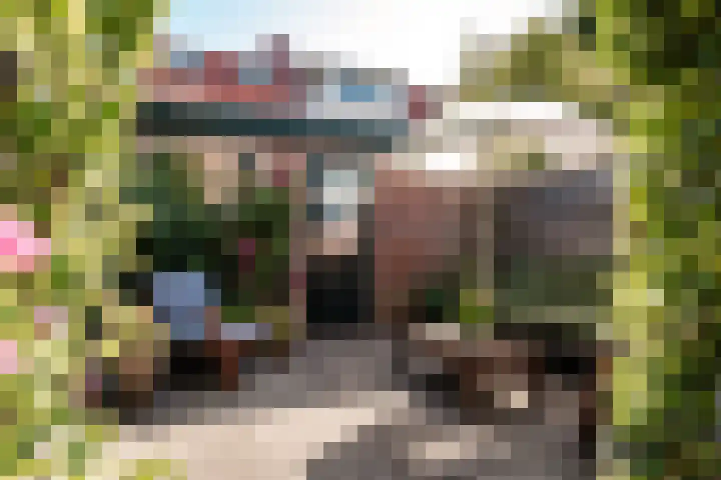Generaal Bothastraat 30 Haarlem thumbnail 18