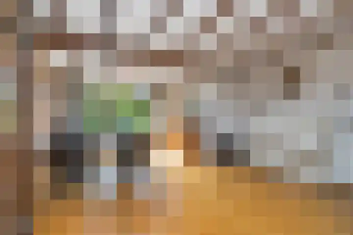 Generaal Bothastraat 48 Eindhoven thumbnail 13