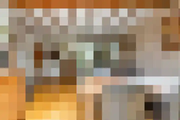 Generaal Bothastraat 48 Eindhoven thumbnail 16