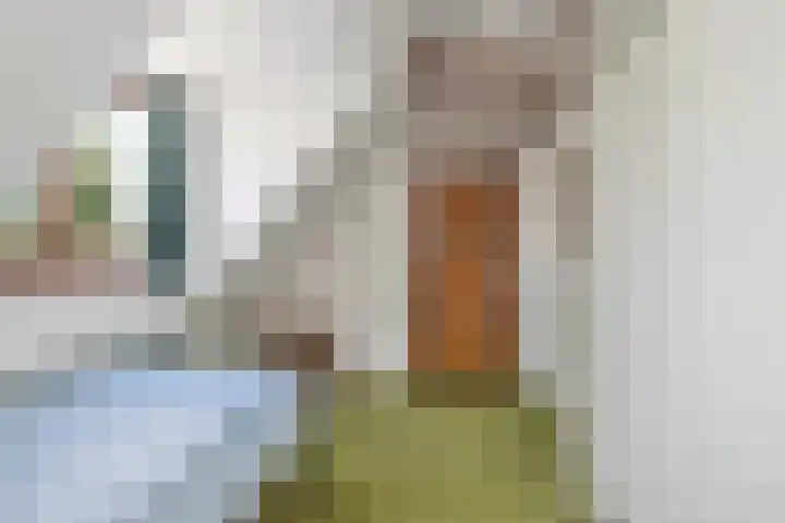 Generaal Bothastraat 48 Eindhoven thumbnail 34
