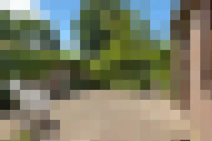 Generaal Bothastraat 48 Eindhoven thumbnail 35