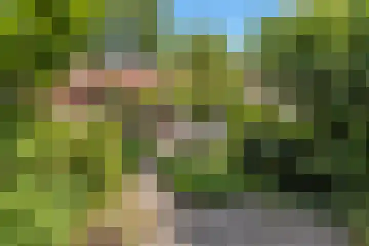 Generaal Bothastraat 48 Eindhoven thumbnail 38