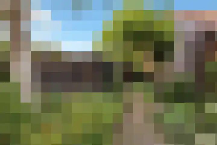Generaal Bothastraat 48 Eindhoven thumbnail 41