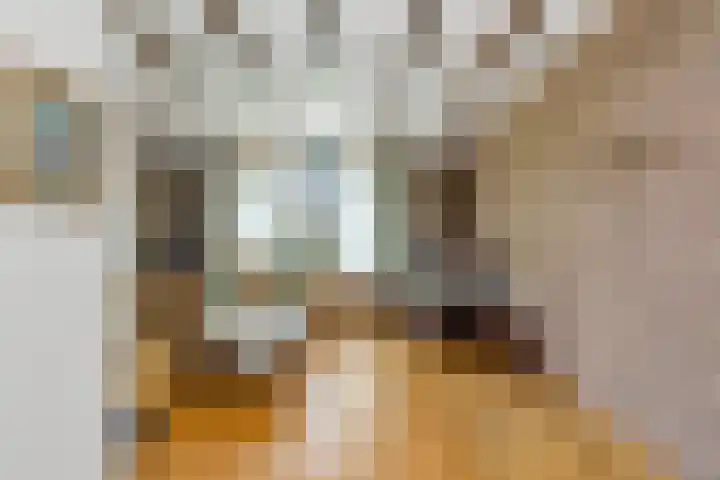 Generaal Bothastraat 48 Eindhoven thumbnail 7