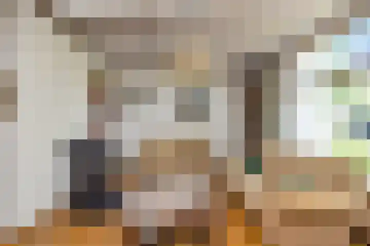 Generaal Bothastraat 48 Eindhoven thumbnail 9