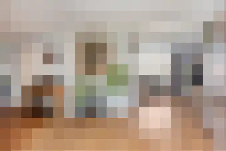 Generaal Bothastraat 49 Eindhoven thumbnail 16