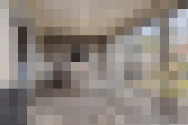 Generaal Bothastraat 49 Eindhoven thumbnail 30