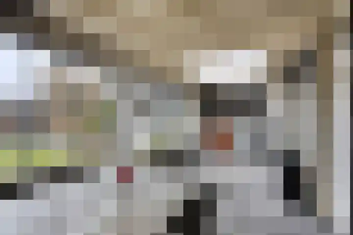 Generaal Bothastraat 49 Eindhoven thumbnail 31