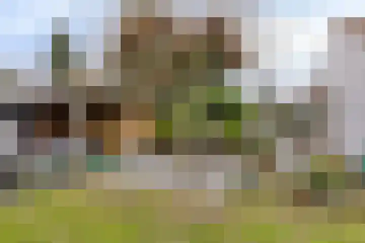 Generaal Bothastraat 49 Eindhoven thumbnail 34