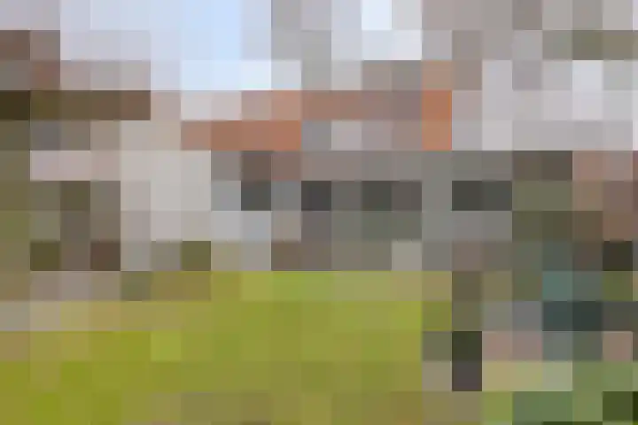Generaal Bothastraat 49 Eindhoven thumbnail 35