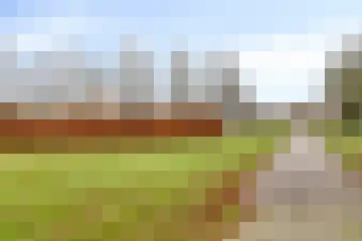 Generaal Bothastraat 49 Eindhoven thumbnail 37
