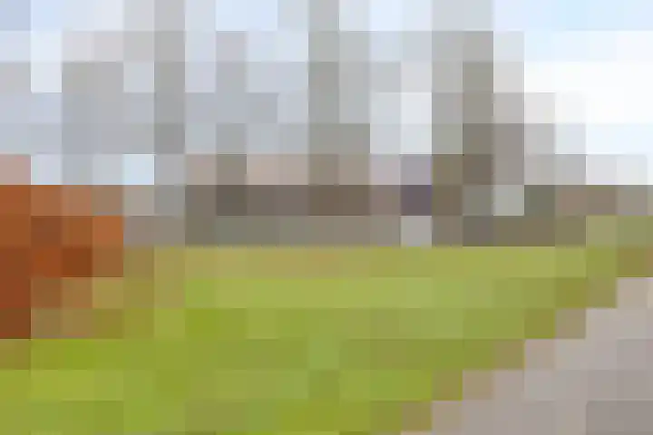 Generaal Bothastraat 49 Eindhoven thumbnail 38