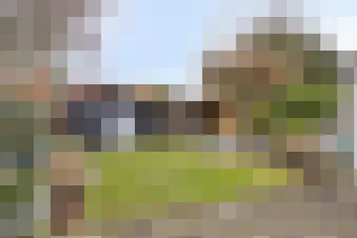 Generaal Bothastraat 49 Eindhoven thumbnail 4