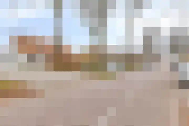 Generaal Bothastraat 49 Eindhoven thumbnail 7