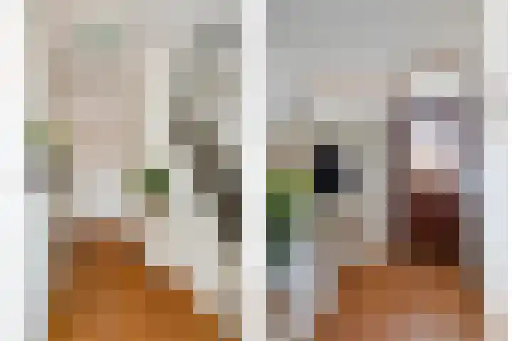 Generaal Bothastraat 49 Eindhoven thumbnail 9