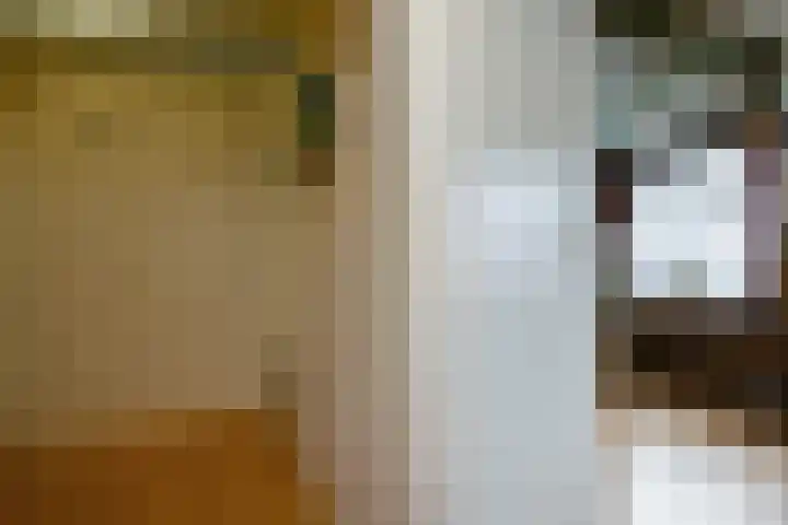 Generaal Bothastraat 52 Haarlem thumbnail 24