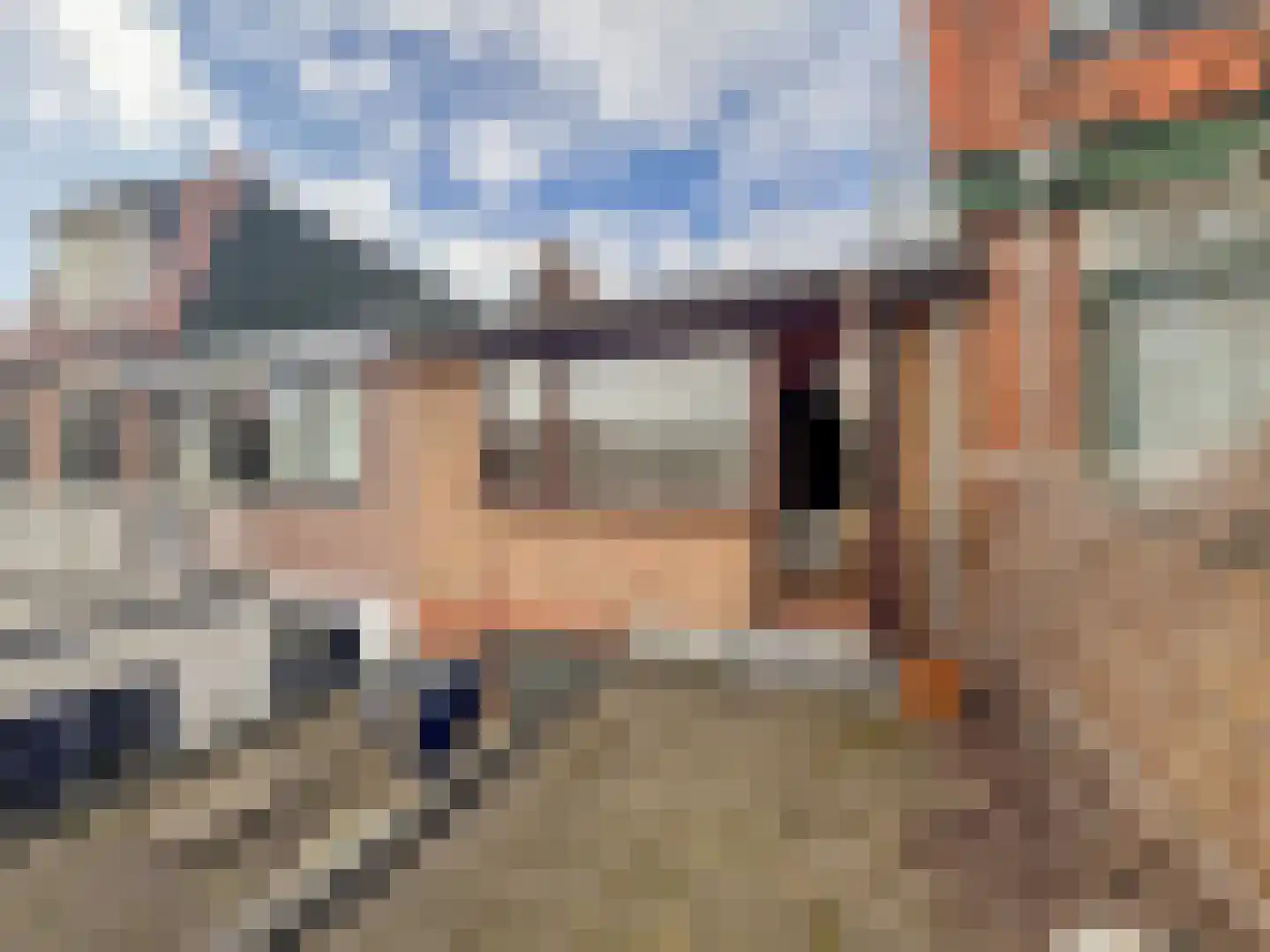Generaal Bothastraat 52 Haarlem thumbnail 30
