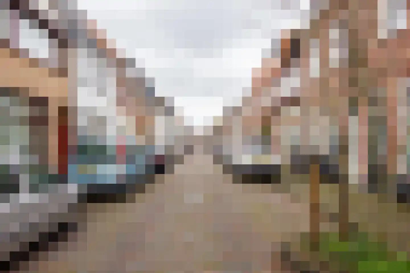 Generaal Bothastraat 52 Haarlem thumbnail 31