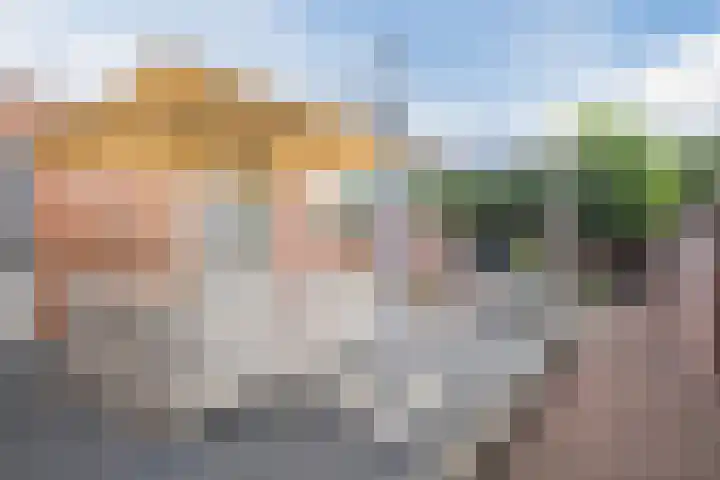 Generaal Bothastraat 59 Eindhoven thumbnail 28