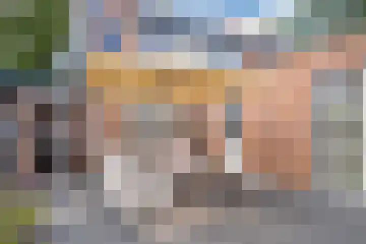 Generaal Bothastraat 59 Eindhoven thumbnail 30