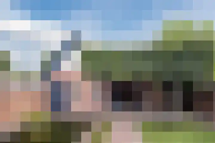 Generaal Bothastraat 59 Eindhoven thumbnail 34