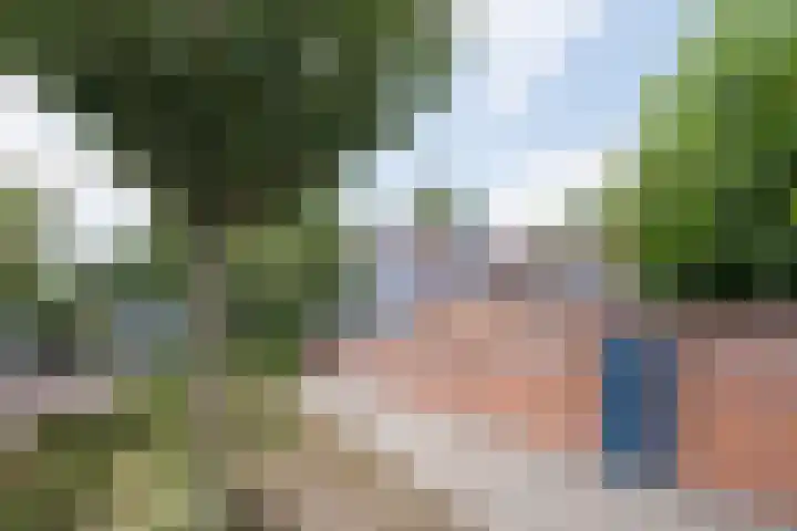 Generaal Bothastraat 59 Eindhoven thumbnail 52