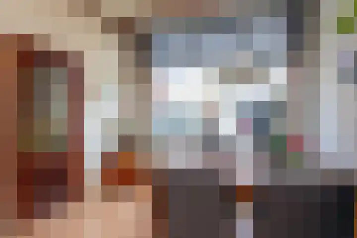 Generaal Bothastraat 7 Haarlem thumbnail 13
