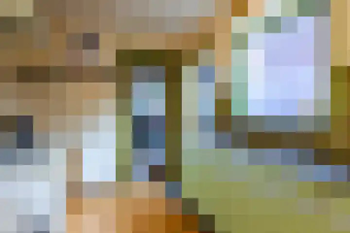 Generaal Bothastraat 7 Haarlem thumbnail 15