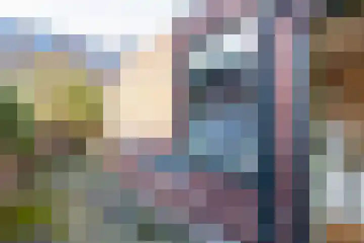 Generaal Bothastraat 7 Haarlem thumbnail 17